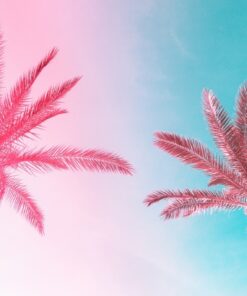 Fototapeta Dvě palmy