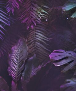 Fototapeta Tropická džungle pozadí