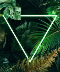 Fototapeta Zelený trojúhelník a džungle