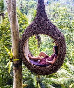 Fototapeta Ptačí hnízdo na Bali