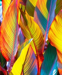 Nálepka na zeď žluté listy