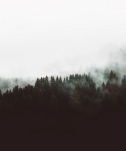 Fototapeta Náladová krajina s mlhou