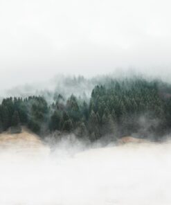 Fototapeta Les a mlha