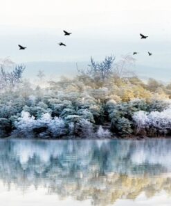 Fototapeta Odraz v jezeře
