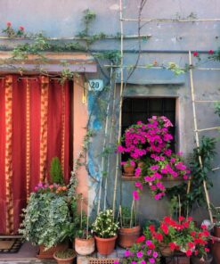 Samolepka na stěnu Květinový záhon