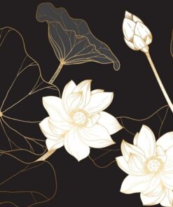 Fototapeta Bílé lekníny