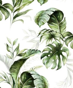 Fototapeta Zelené tropické listy