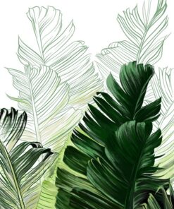 Fototapeta Malované banánové listy