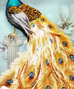 Fototapeta Proud Peacock