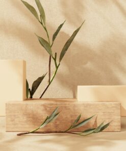 Fototapeta Pozadí s rostlinou