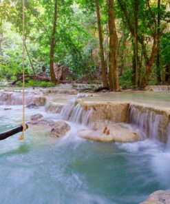 Fototapeta Lesní jezero s houpačkou