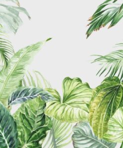 Fototapeta Tropická džungle 4
