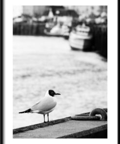 Plakát Port Bird
