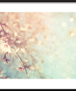 Jemný třešňový květ plakát