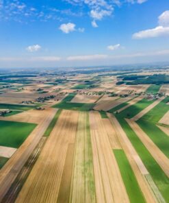 Fototapeta Kultivovaná pole 3