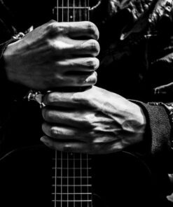 Fototapeta Grip the griffin