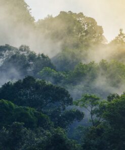 Fototapeta Národní park v Thajsku