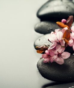 Fototapeta Relaxing Cherry Blossoms