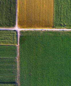 Fototapeta Zemědělské pozemky