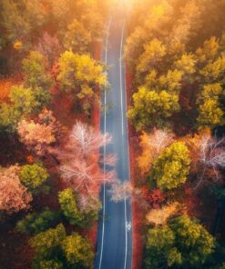 Fototapeta Podzimní cesta