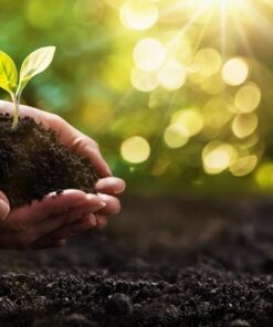 Fototapeta Ekologie koncept