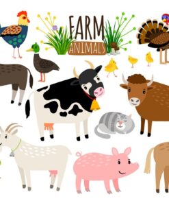 Fototapeta Zvířata na farmě