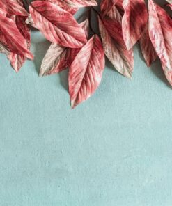 Samolepka na zeď Pink Leaves 2