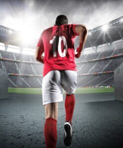 Fototapeta Hráč na stadionu