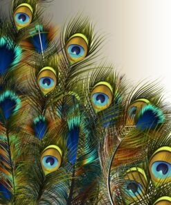 Fototapeta Paví oči