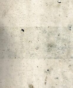 Fototapeta Auto světlomet