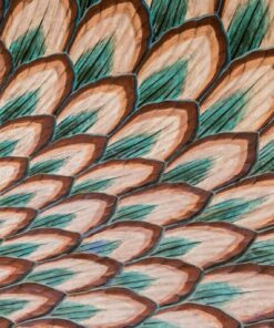 Fototapeta Indiánská fototapeta