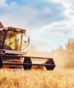 Fototapeta Kombajn sklízející obiloviny