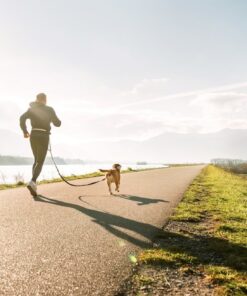 Fototapeta Běhání se psem
