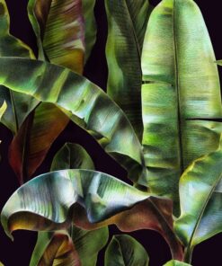 Fototapeta Banana Leaves 2