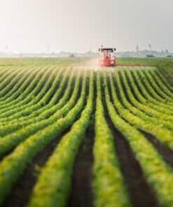 Fototapeta Traktor v poli sóji