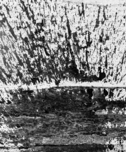 Fototapeta Puddle splash