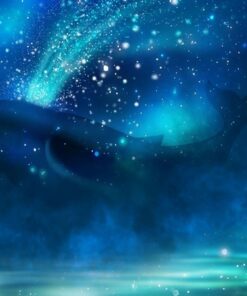 Fototapeta Velryba a hvězdy