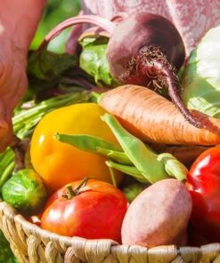 Fototapeta Košík čerstvé zeleniny