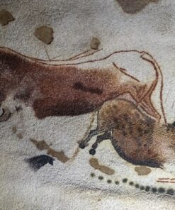 Fototapeta Pravěká malba