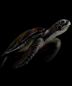 Fototapeta Mořská želva 2