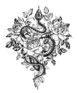 Fototapeta Had a růže