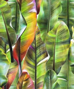 Fototapeta Banana Leaves 3