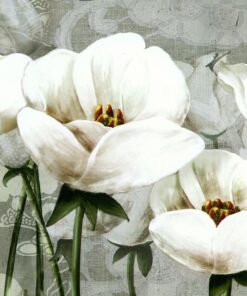 Fototapeta Kvetoucí bílé květy