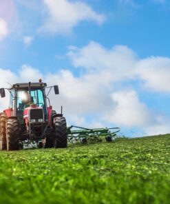 Fototapeta Haymaking