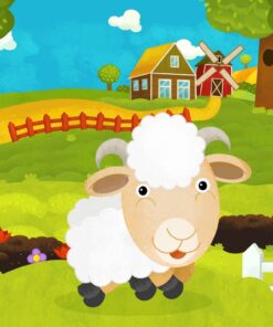 Fototapeta Ovce na farmě