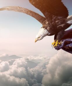Fototapeta Orzeł z Flagą USA