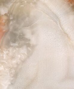 Fototapeta Onyx Marble