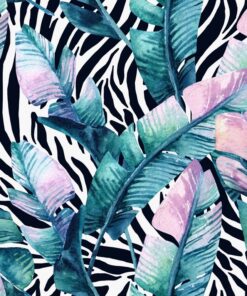 Fototapeta peří na černém a bílém pozadí