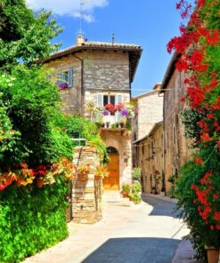 Fototapeta Květiny v Assisi