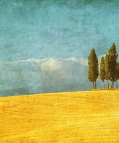 Fototapeta Krajina ve stylu Vintage